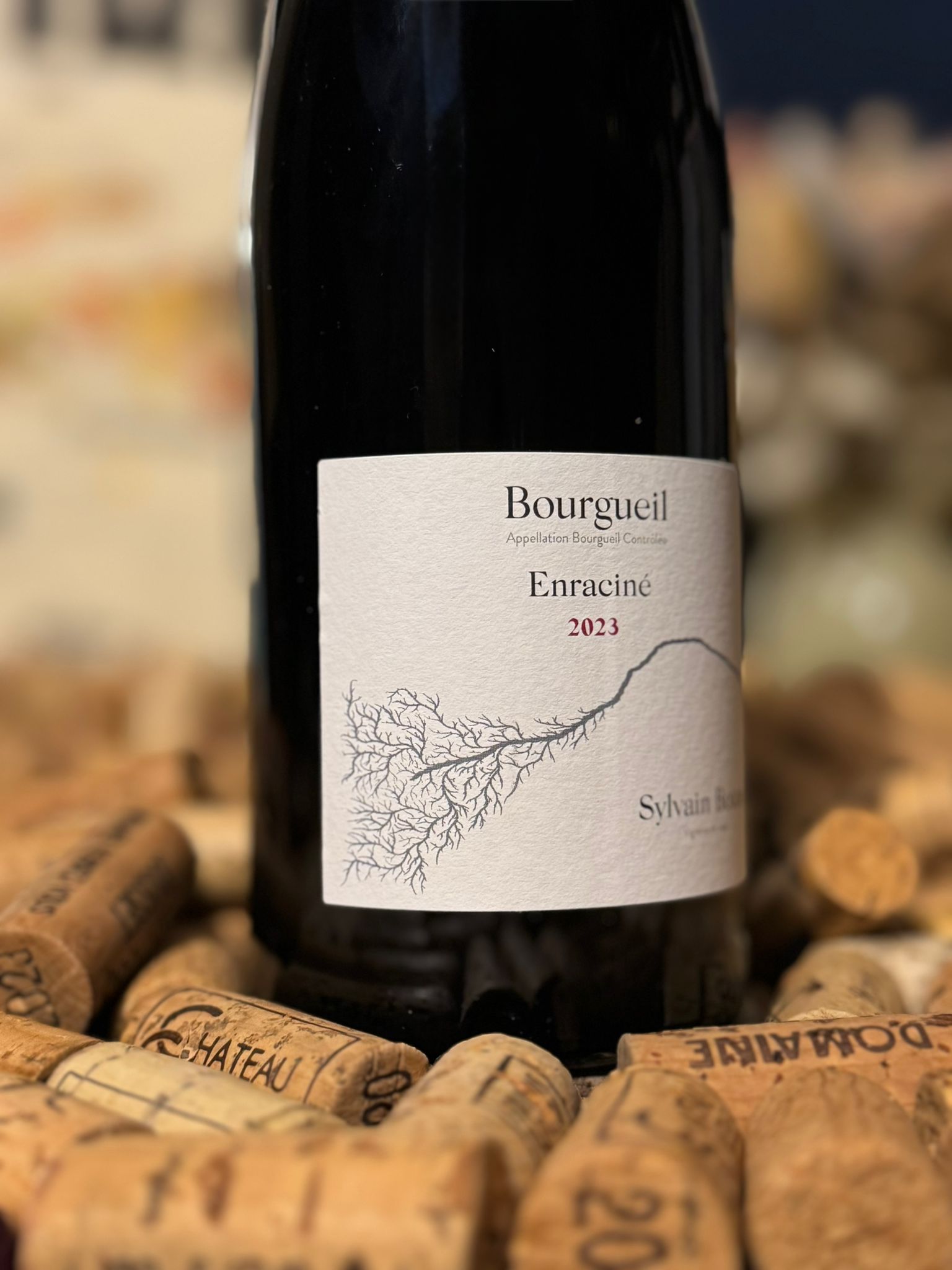 montlouis sur loire sec domaine thet 2022 montlouis sur loire sec domaine thet 2022