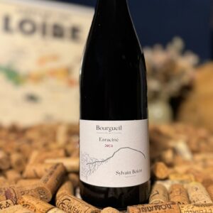 montlouis sur loire sec domaine thet 2022