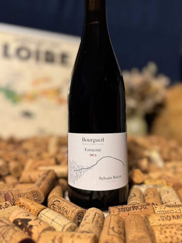 Sylvain Boton montlouis sur loire sec domaine thet 2022