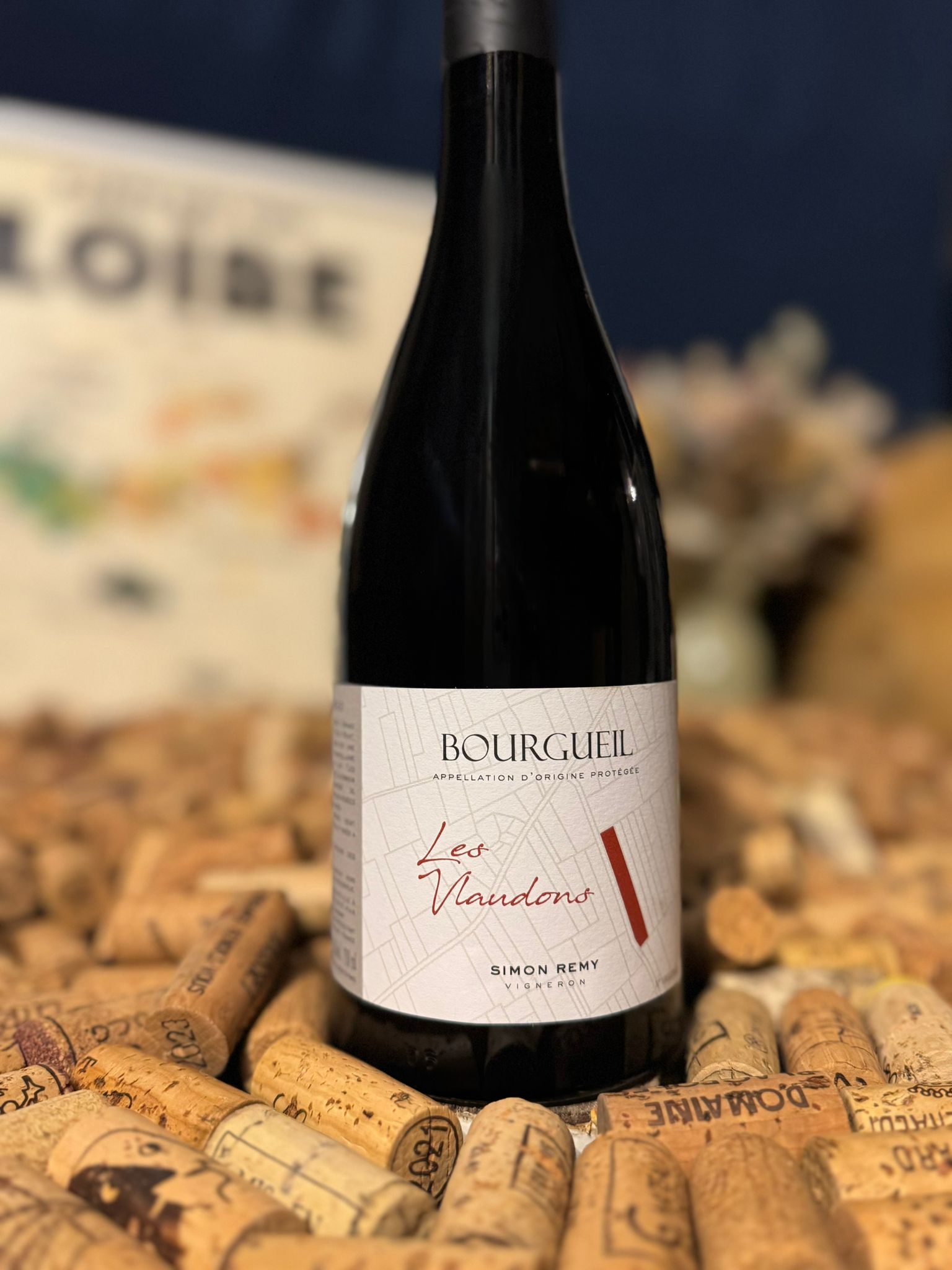 bourgueil "enraciné" 2024 sylvain boton bourgueil "enraciné" 2024 sylvain boton