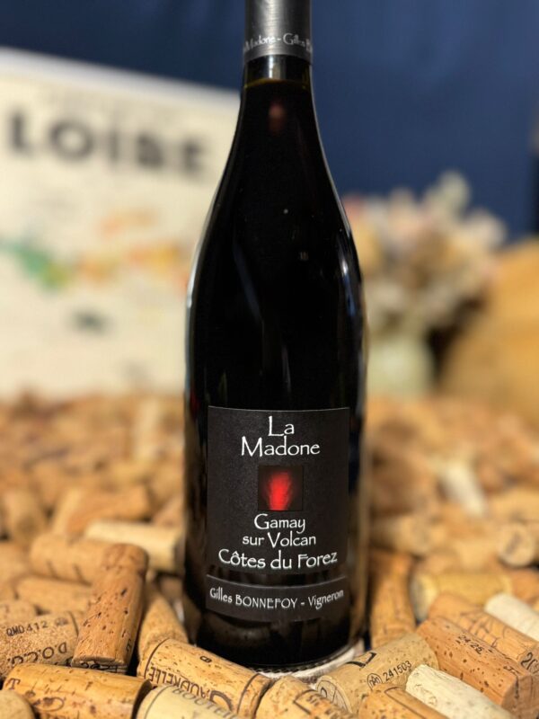 Les Vins de la Madone côtes du forez "la madone" 2024 les vins de la madone