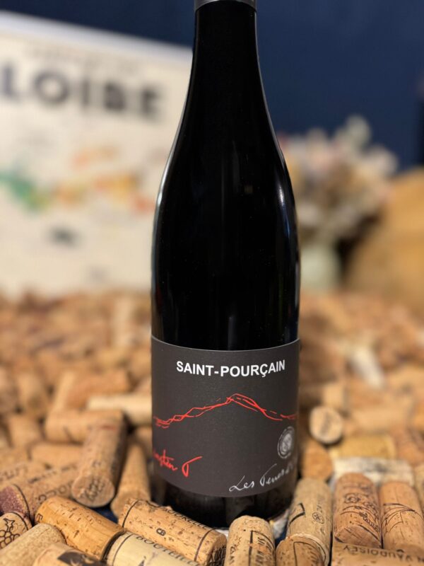 côtes du forez "la madone" 2024 les vins de la madone