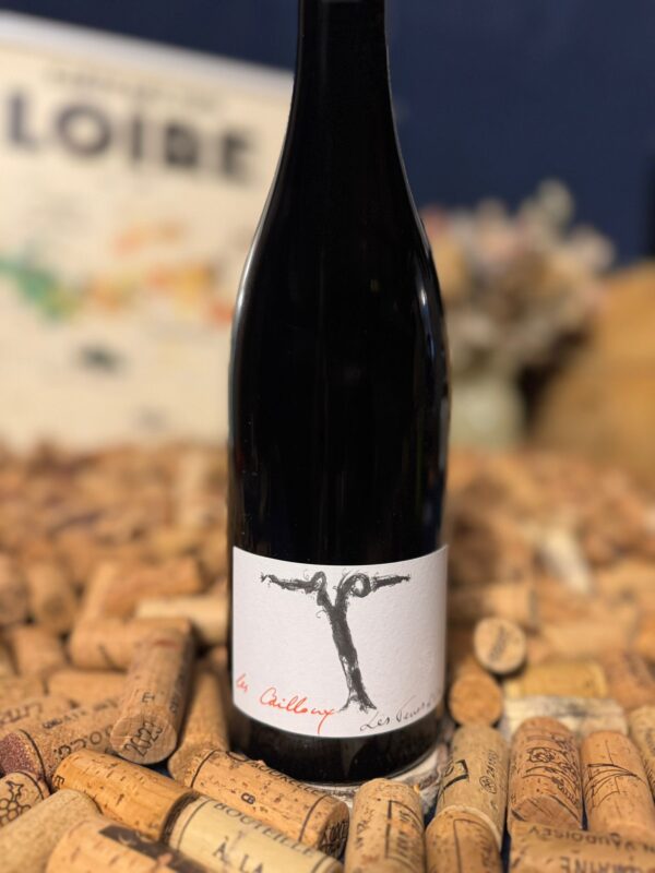 côtes du forez "la madone" 2024 les vins de la madone