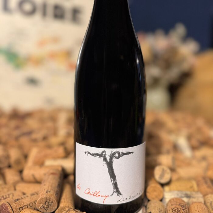 côtes du forez "la madone" 2024 les vins de la madone