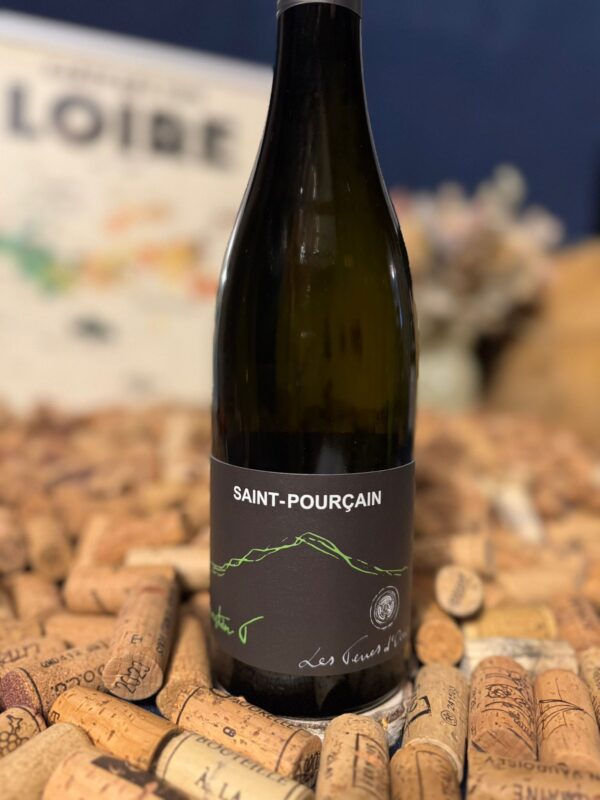 côtes du forez "la madone" 2024 les vins de la madone