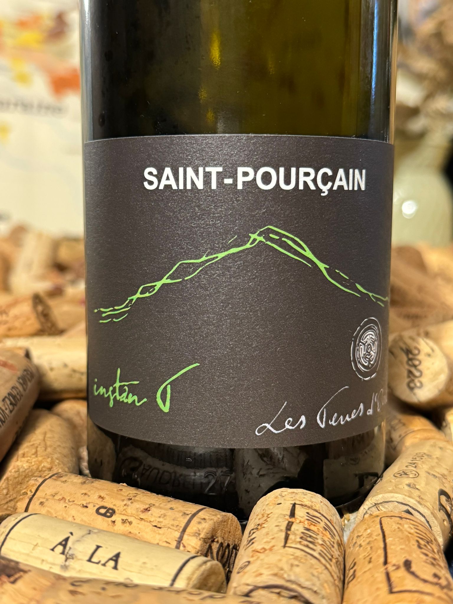 côtes du forez "la madone" 2024 les vins de la madone côtes du forez "la madone" 2024 les vins de la madone