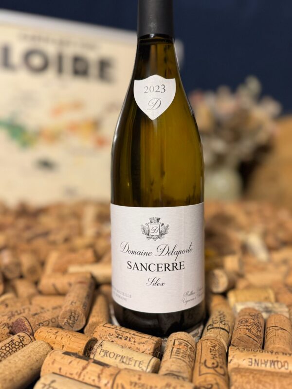 Domaine Delaporte menetou salon rouge « clos des treilles » 2022 domaine philippe gilbert