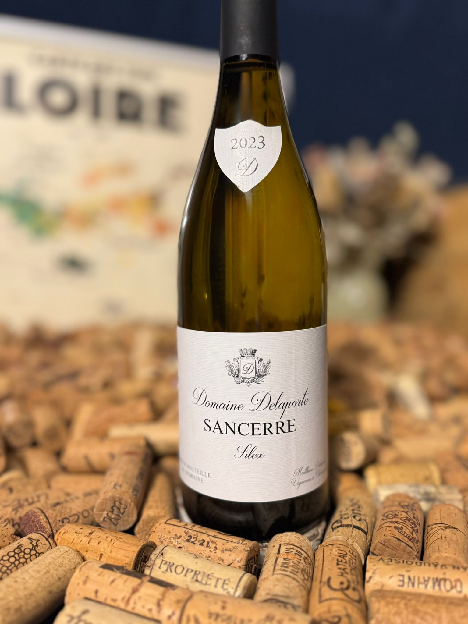 menetou salon rouge « clos des treilles » 2022 domaine philippe gilbert menetou salon rouge « clos des treilles » 2022 domaine philippe gilbert