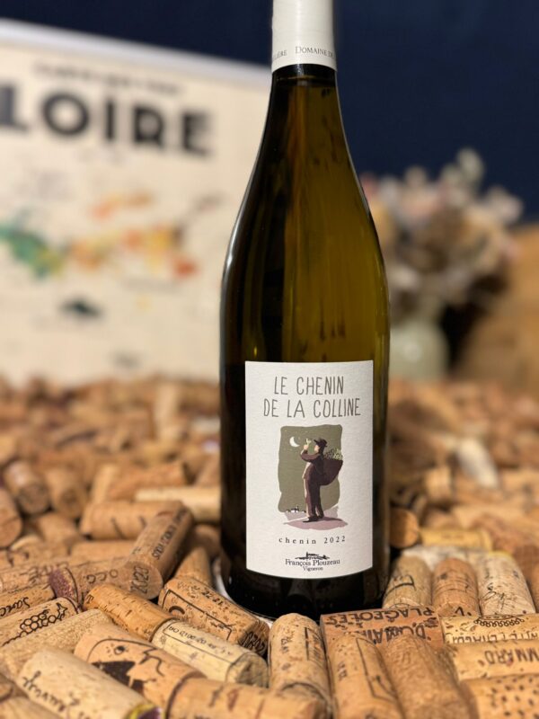 igp val de loire "gamay sans tralala" 2024 domaine de la garrelière