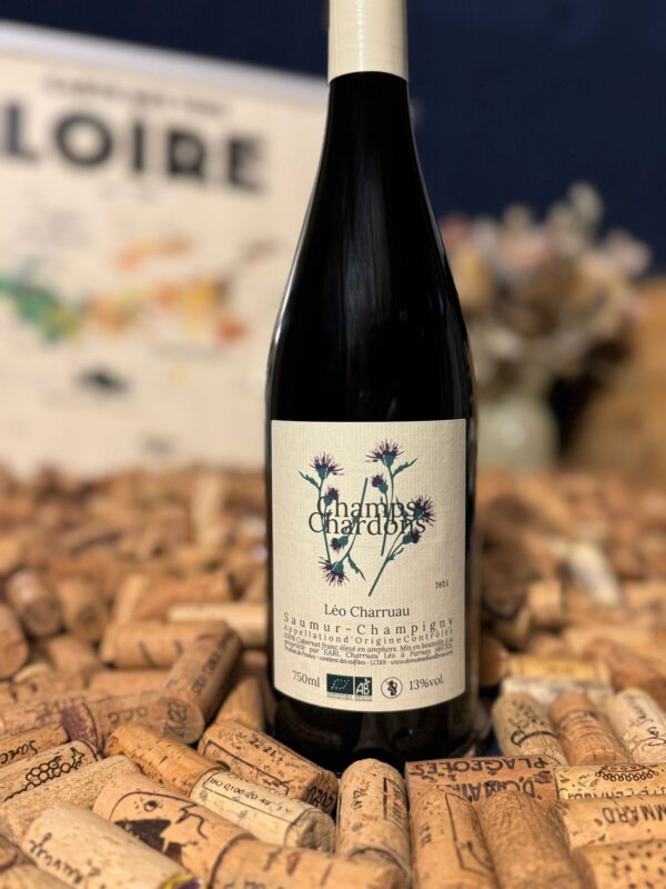 Domaine du Valbrun saumur champigny "champs chardons" 2023 domaine du valbrun