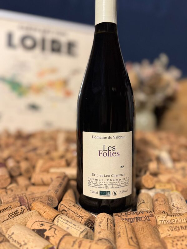 Domaine du Valbrun saumur champigny "champs chardons" 2023 domaine du valbrun