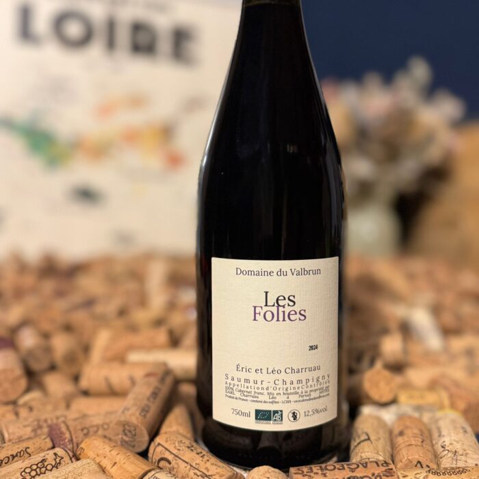 saumur champigny "champs chardons" 2023 domaine du valbrun