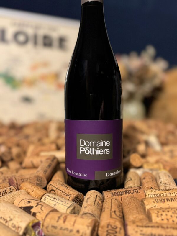 Domaine des Pothiers côte roannaise "domaine" 2024 domaine des pothiers