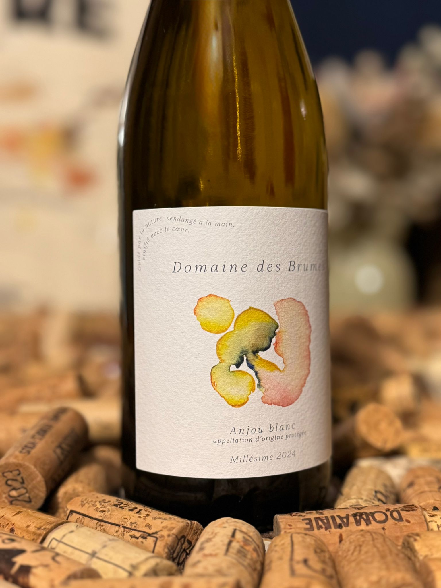 anjou blanc 2024 domaine des brumes anjou blanc 2024 domaine des brumes