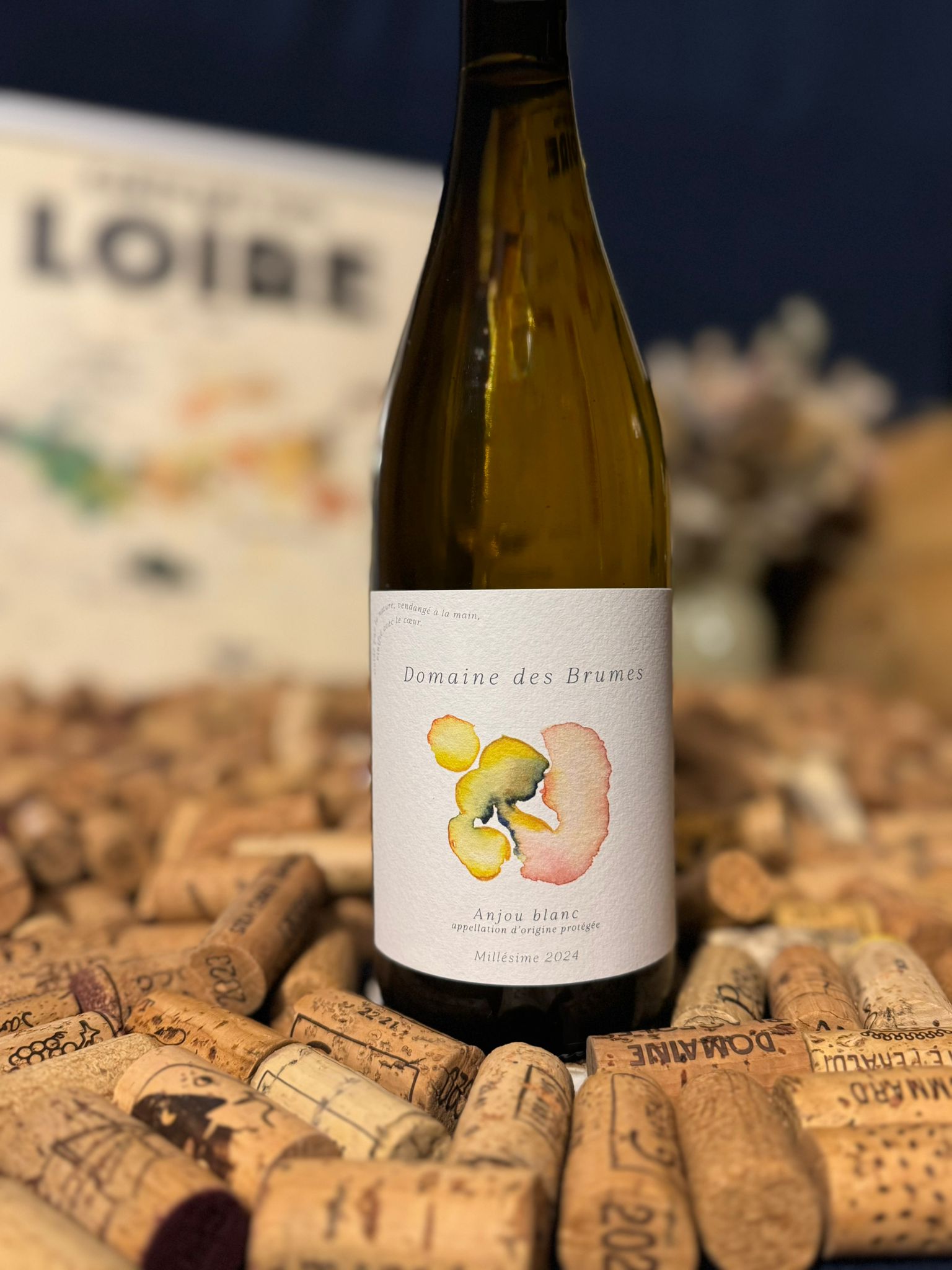 anjou blanc 2024 domaine des brumes anjou blanc 2024 domaine des brumes