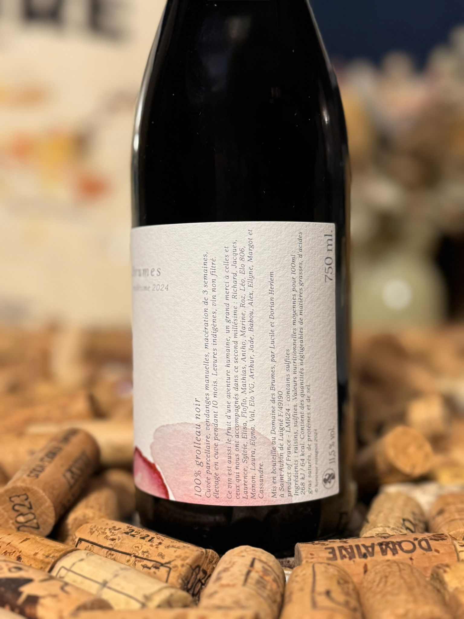 anjou blanc 2024 domaine des brumes anjou blanc 2024 domaine des brumes