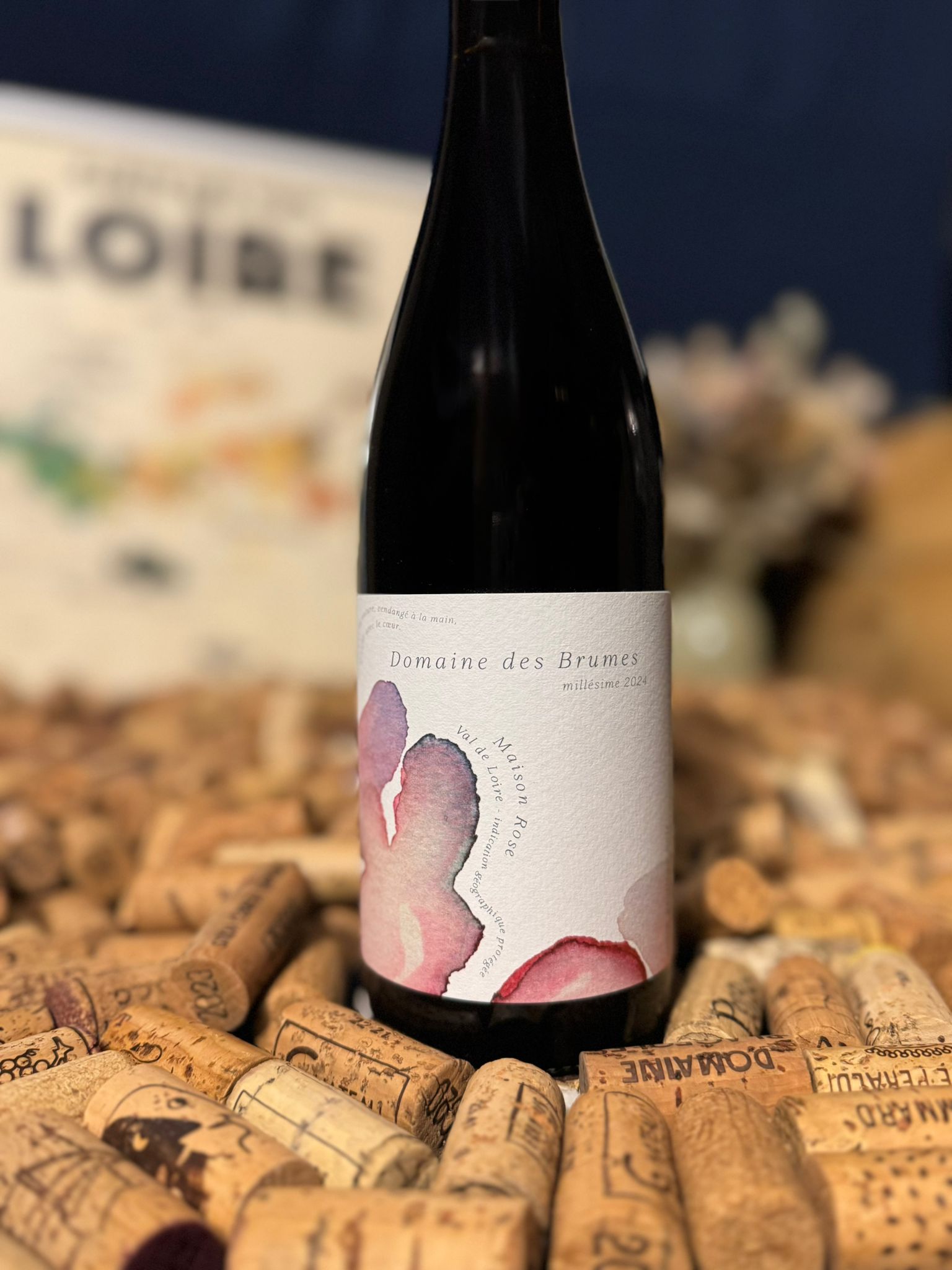 anjou blanc 2024 domaine des brumes anjou blanc 2024 domaine des brumes