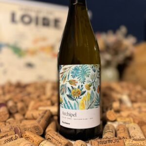 jasnières 2022 " élevage long" domaine de la roche bleue