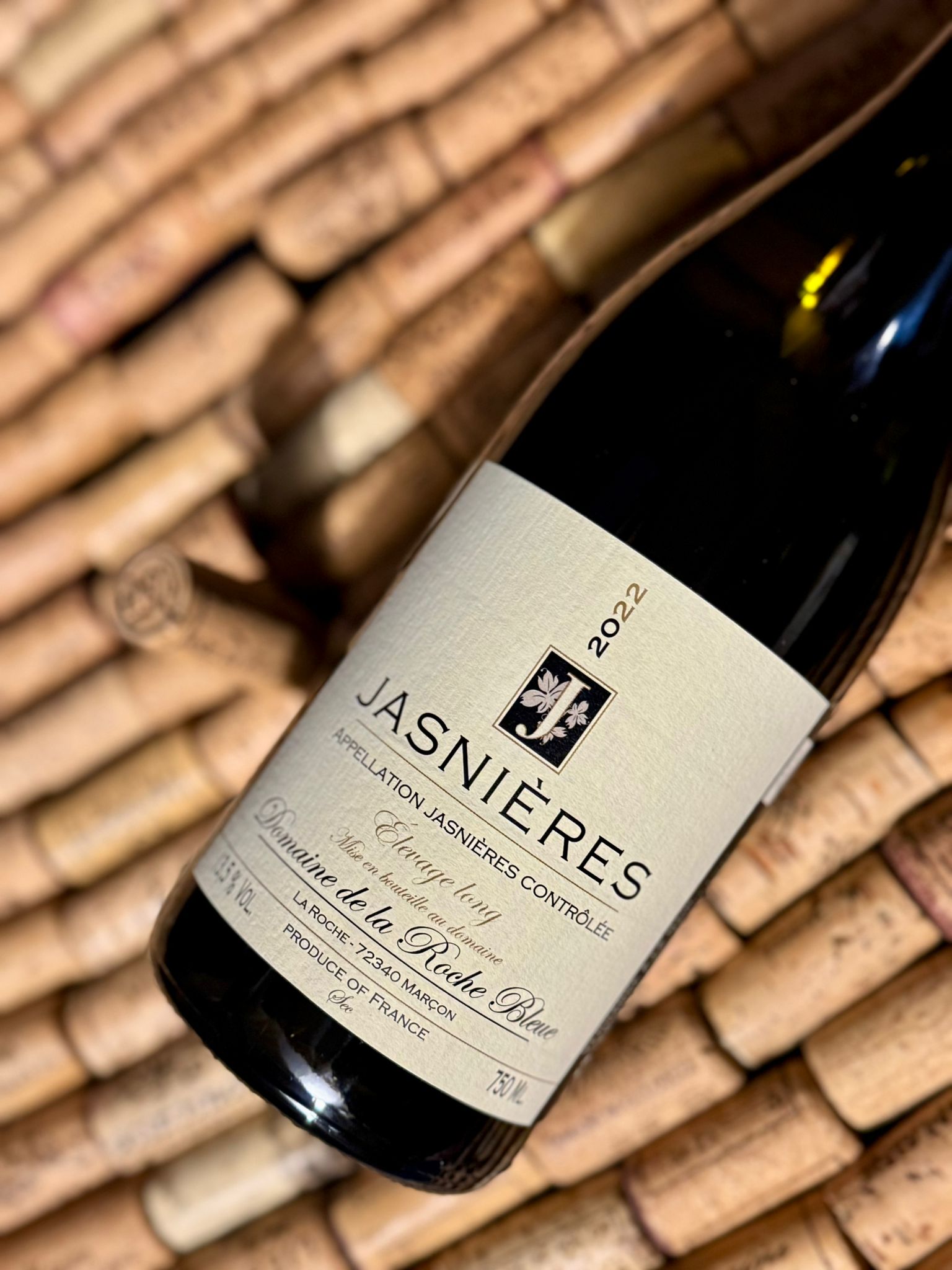 whatsapp image 2026 02 19 at 12.50.05