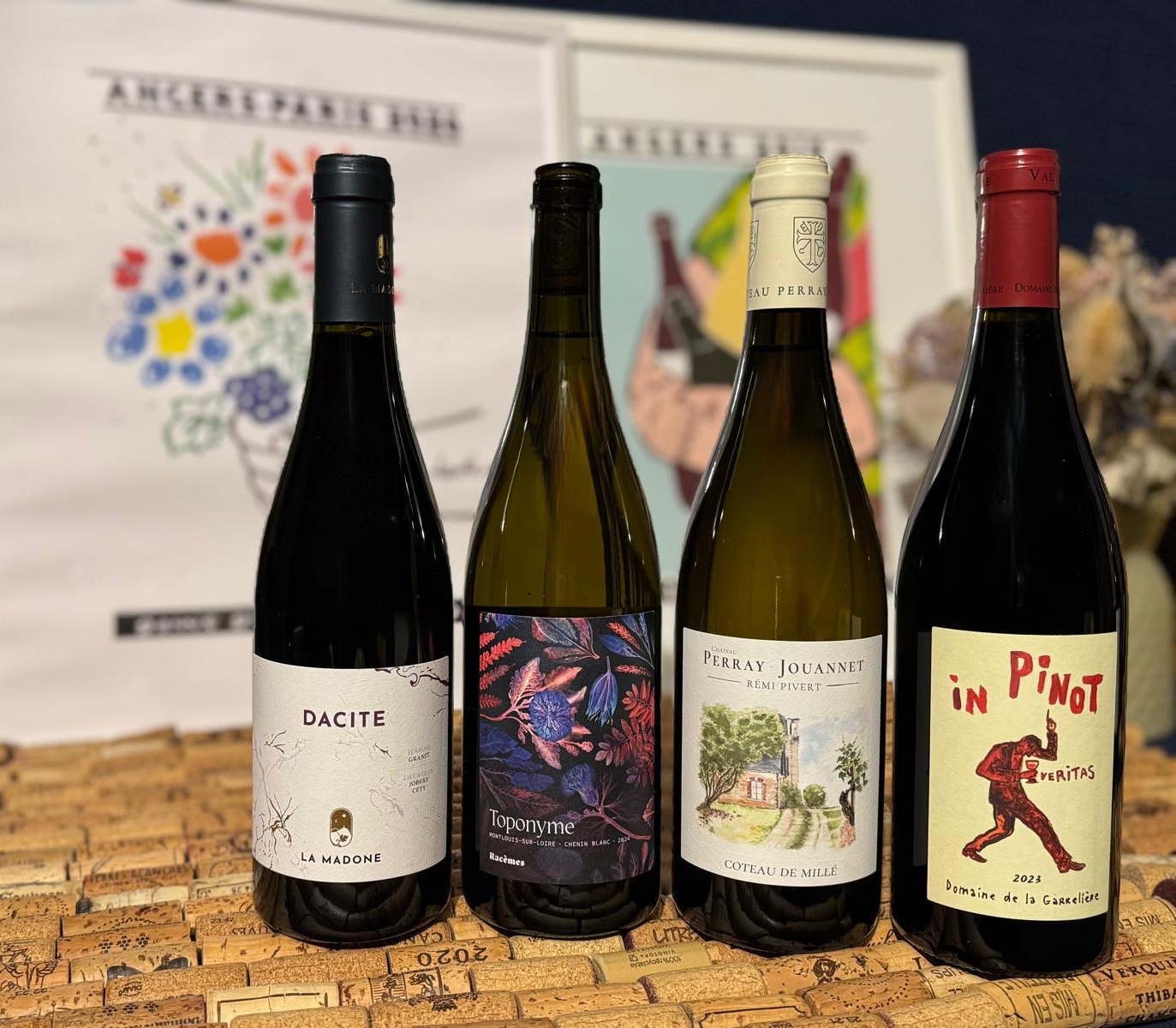 whatsapp image 2026 02 19 at 14.54.47