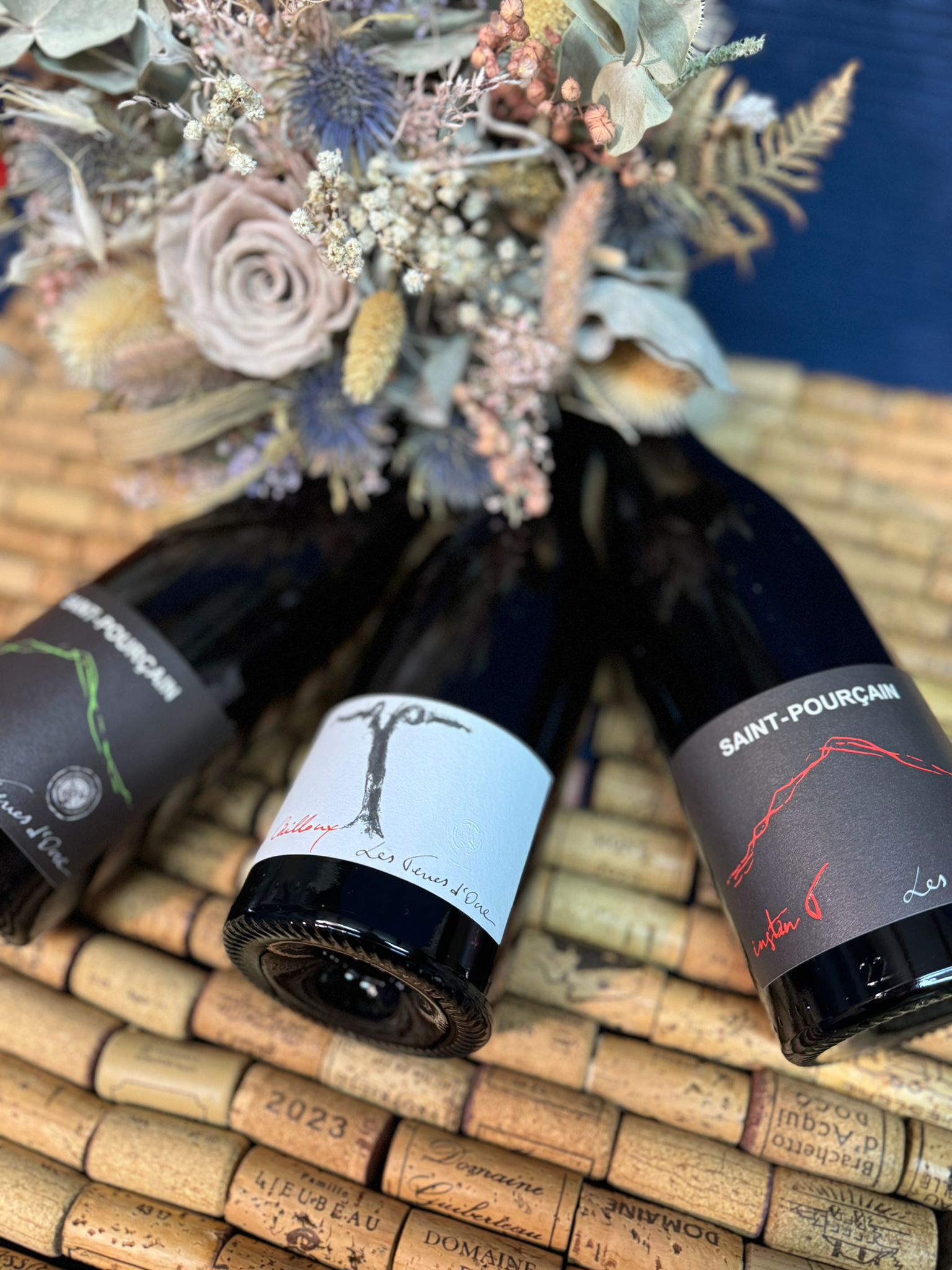 whatsapp image 2026 02 19 at 15.17.39