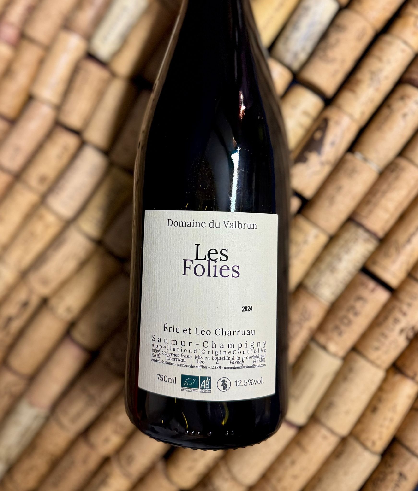 whatsapp image 2026 02 19 at 16.09.30