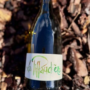 aop touraine "pif" 2024 domaine de la piffaudière
