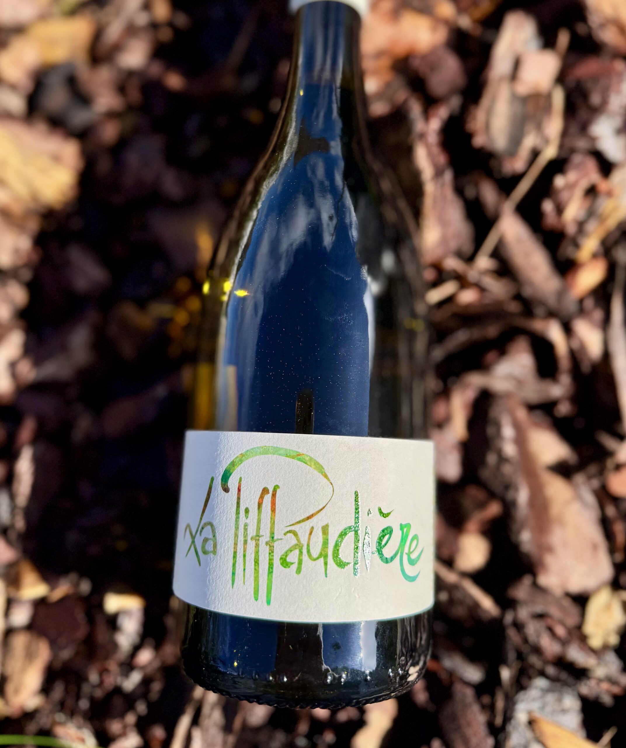 aop touraine "pif" 2024 domaine de la piffaudière aop touraine "pif" 2024 domaine de la piffaudière