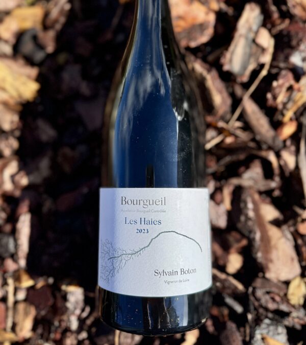 bourgueil "les haies" 2023 sylvain boton