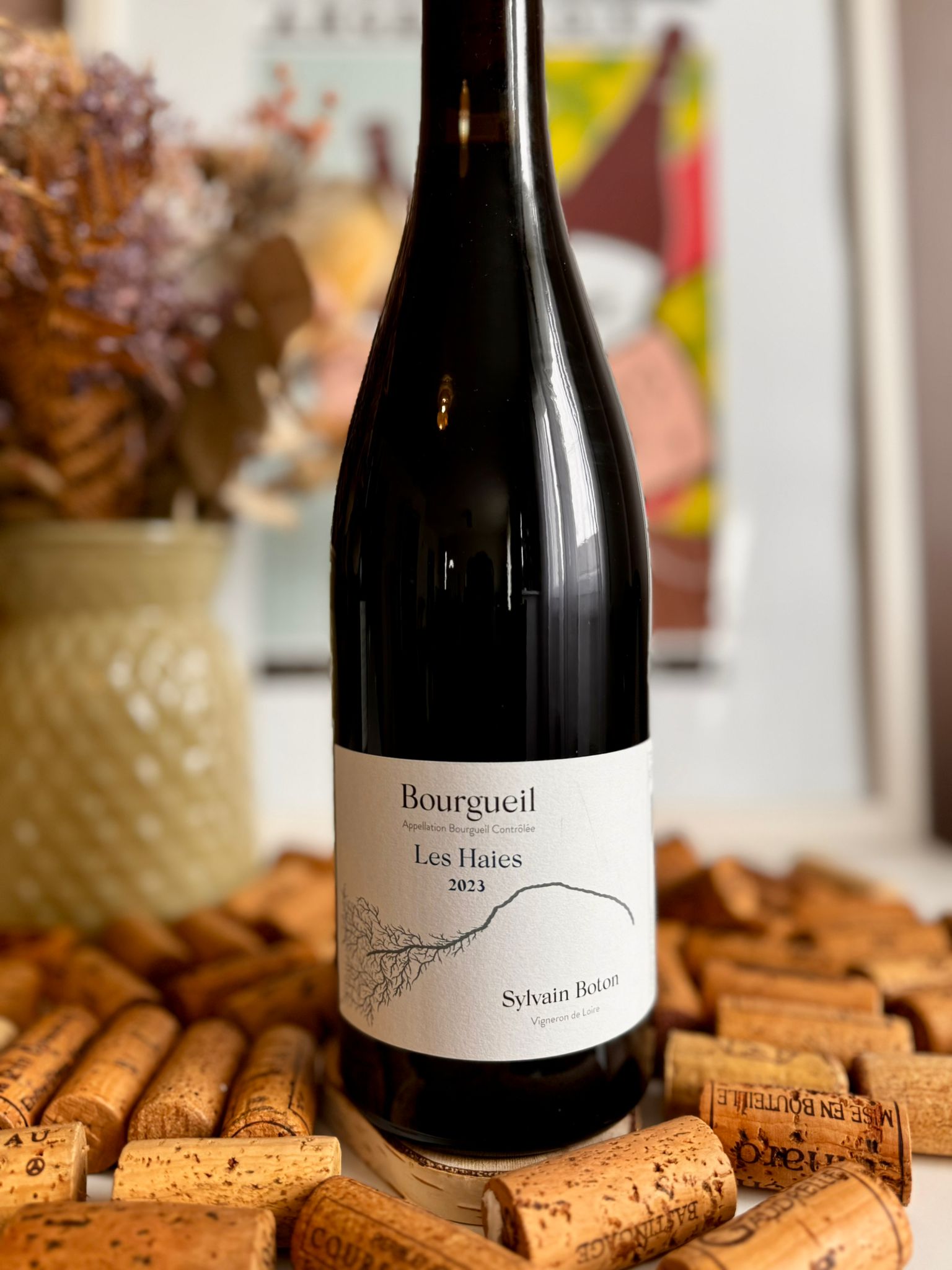 aoc bourgueil "les haies" 2023 sylvain boton aoc bourgueil "les haies" 2023 sylvain boton